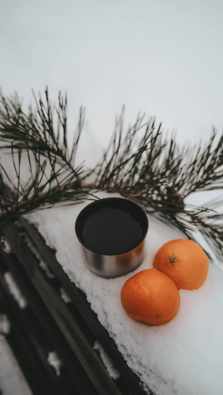 Twig And Orange Fruits On Snow