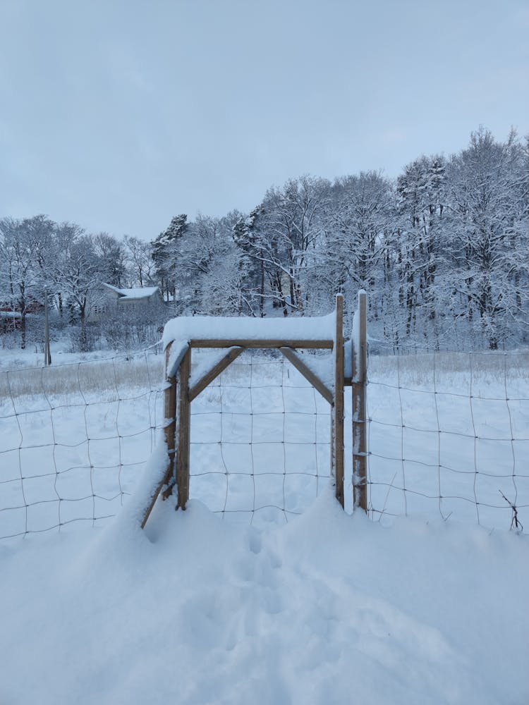 Gate On Farm On Winter Day