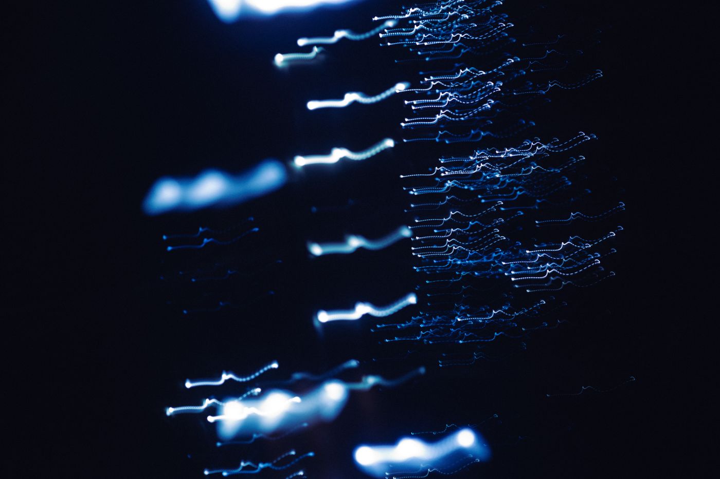 Abstract photograph of light patterns against a dark backdrop