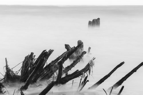 Free Moody black and white long-exposure of driftwood on foggy sea background. Stock Photo