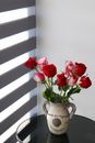 Red Roses in White Ceramic Vase