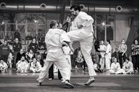 Tehran Provincial Squad Holds Preparation Camp - Report 16