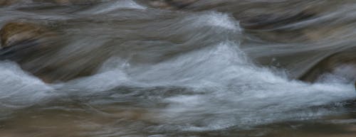 Бесплатное стоковое фото с вода, движение, река