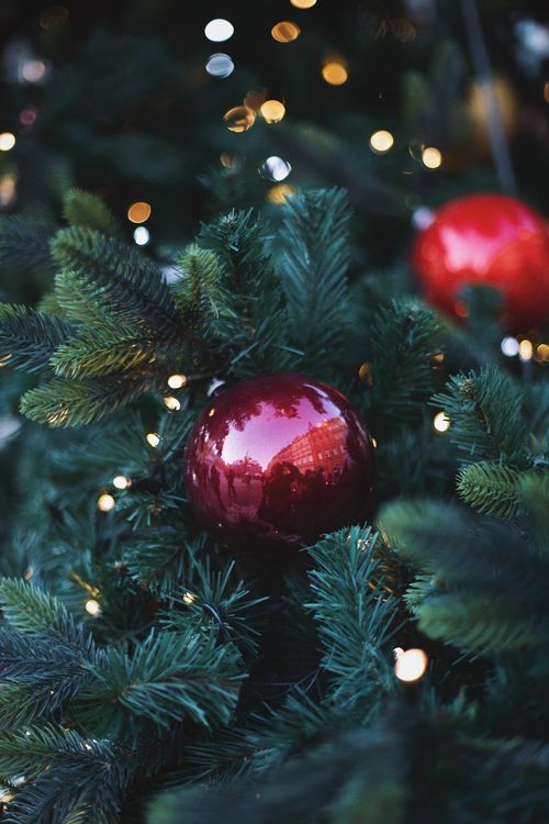 Free Close-up of a red Christmas ornament on an evergreen tree with festive lights in Warsaw, Poland. Stock Photo