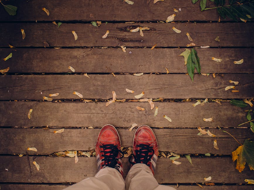 autumn, fall, feet