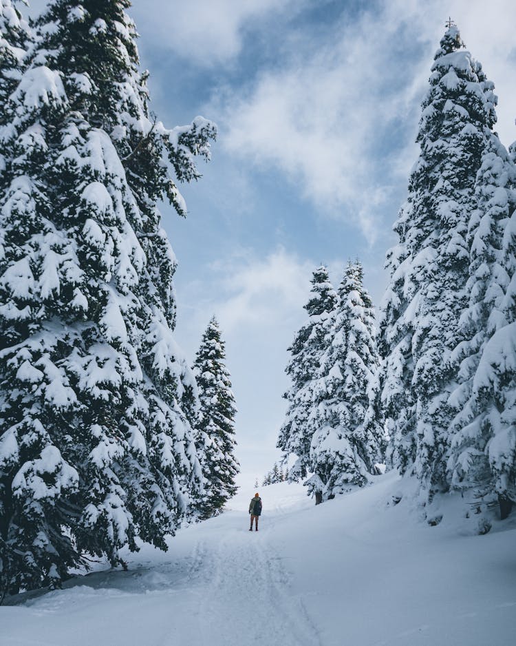 A Person Walking On A Snow Covered Ground