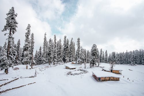 Brown Wooden House on Snow Covered Ground Near Trees Under White Cloudy Sky