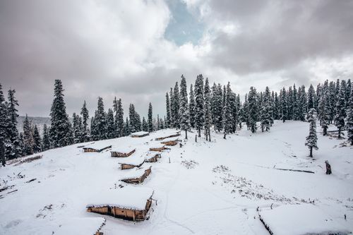 Free Stunning aerial shot of a snow-covered forest in Gulmarg featuring wooden cabins and tall trees. Stock Photo