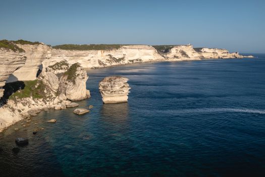 Figari