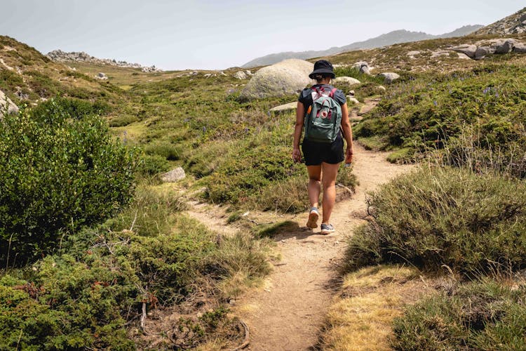 Back View Of A Person Hiking In Corsica Island