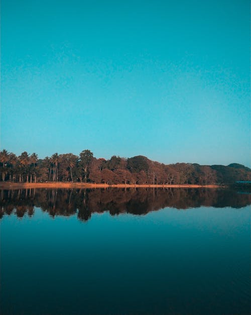 Foto d'estoc gratuïta de arbres, cel blau, llac