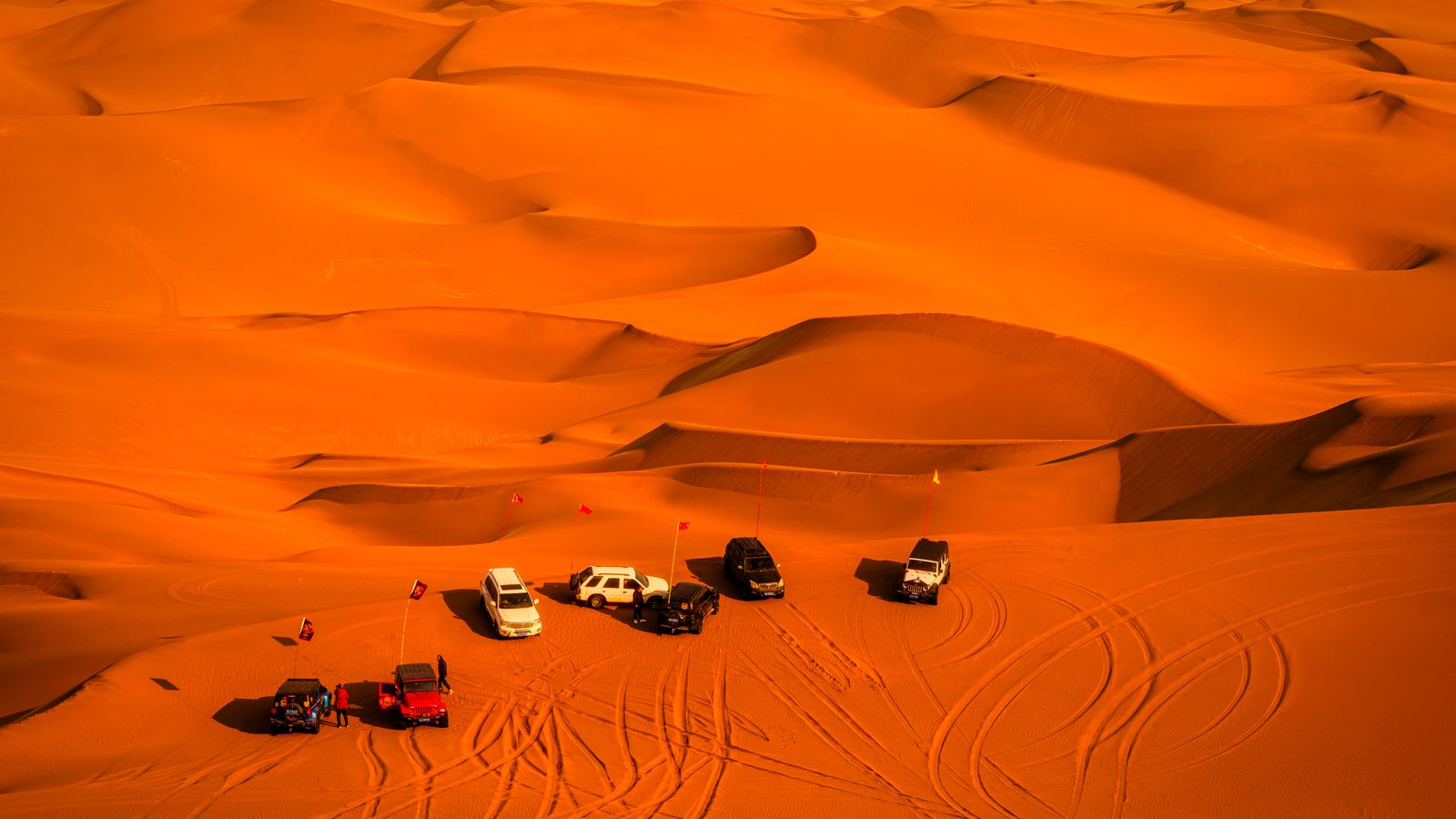 Motor vehicles on the desert, Niger