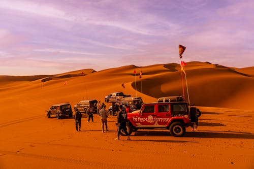 Motor Vehicles on the Desert