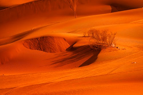Gratis Foto stok gratis gersang, gurun, gurun pasir Foto Stok