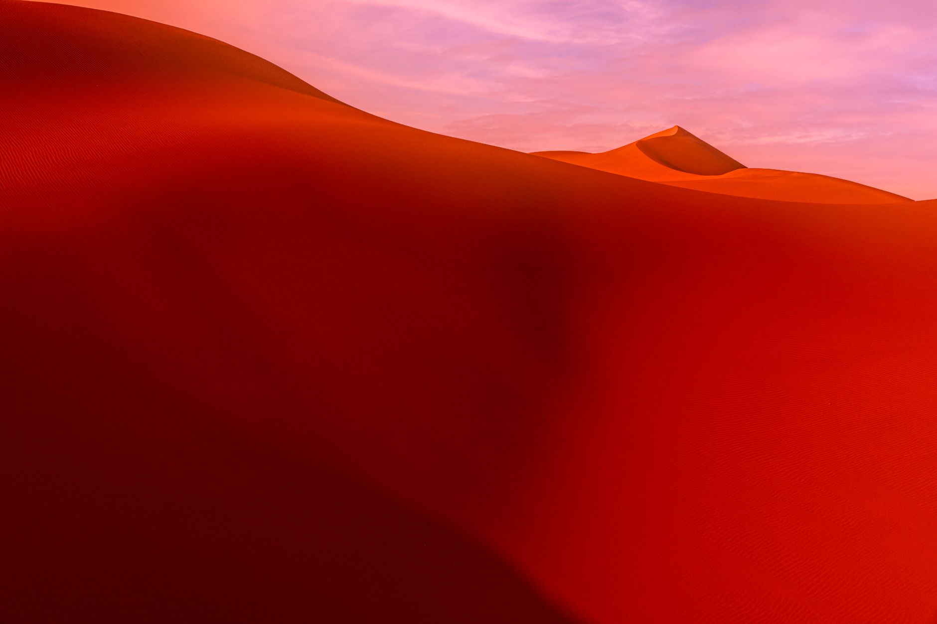 A captivating view of red sand dunes with a soft pink sky at sunset, showcasing nature's beauty.