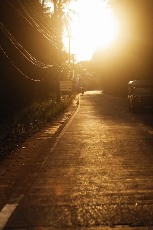 Free Golden sunlight illuminates an empty rural road at dusk. Stock Photo