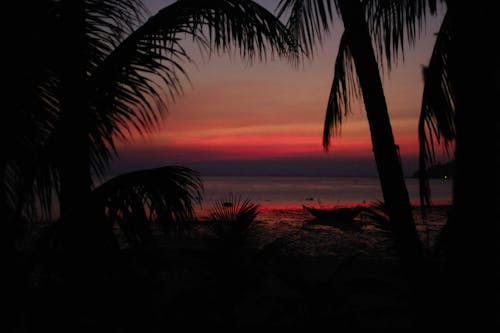 Foto profissional grátis de costa, crepúsculo, Hora dourada