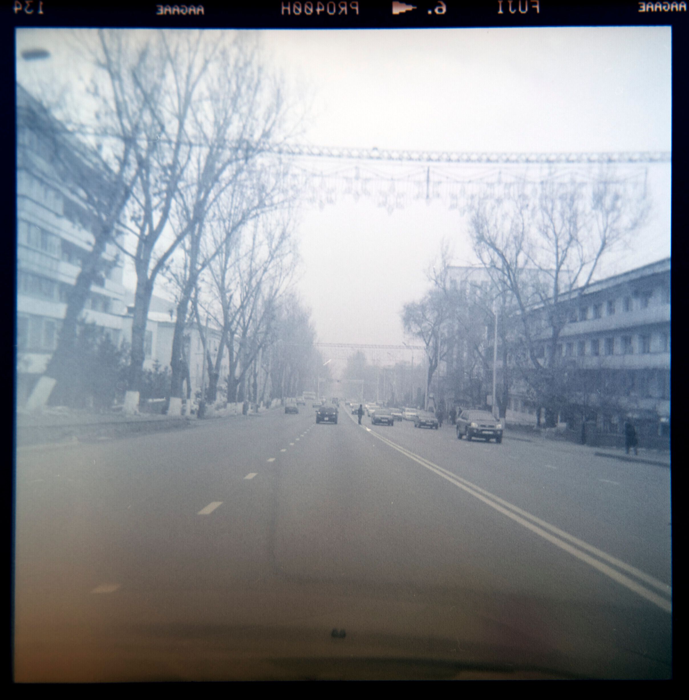 A foggy urban street scene captured in monochrome, showcasing bare trees and vehicles.