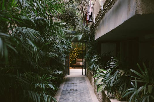 Pathway in the Middle of Linear Leaf Plants with the Quote "You spend a good piece of your life gripping a baseball and in the end it turns out that it was the other way around all the time." written on it and have average color value #3D3F2F