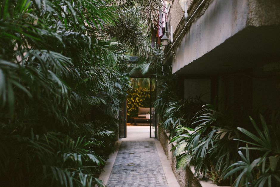 Serene outdoor pathway surrounded by lush green plants leading to a cozy seating area in an urban garden.