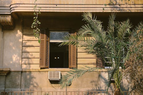 คลังภาพถ่ายฟรี ของ ชัตเตอร์, บานประตูหน้าต่าง, พืชกลางแจ้ง