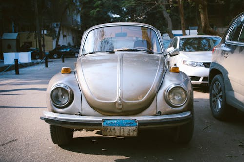 Бесплатное стоковое фото с beetle, volkswagen, volkswagen beetle