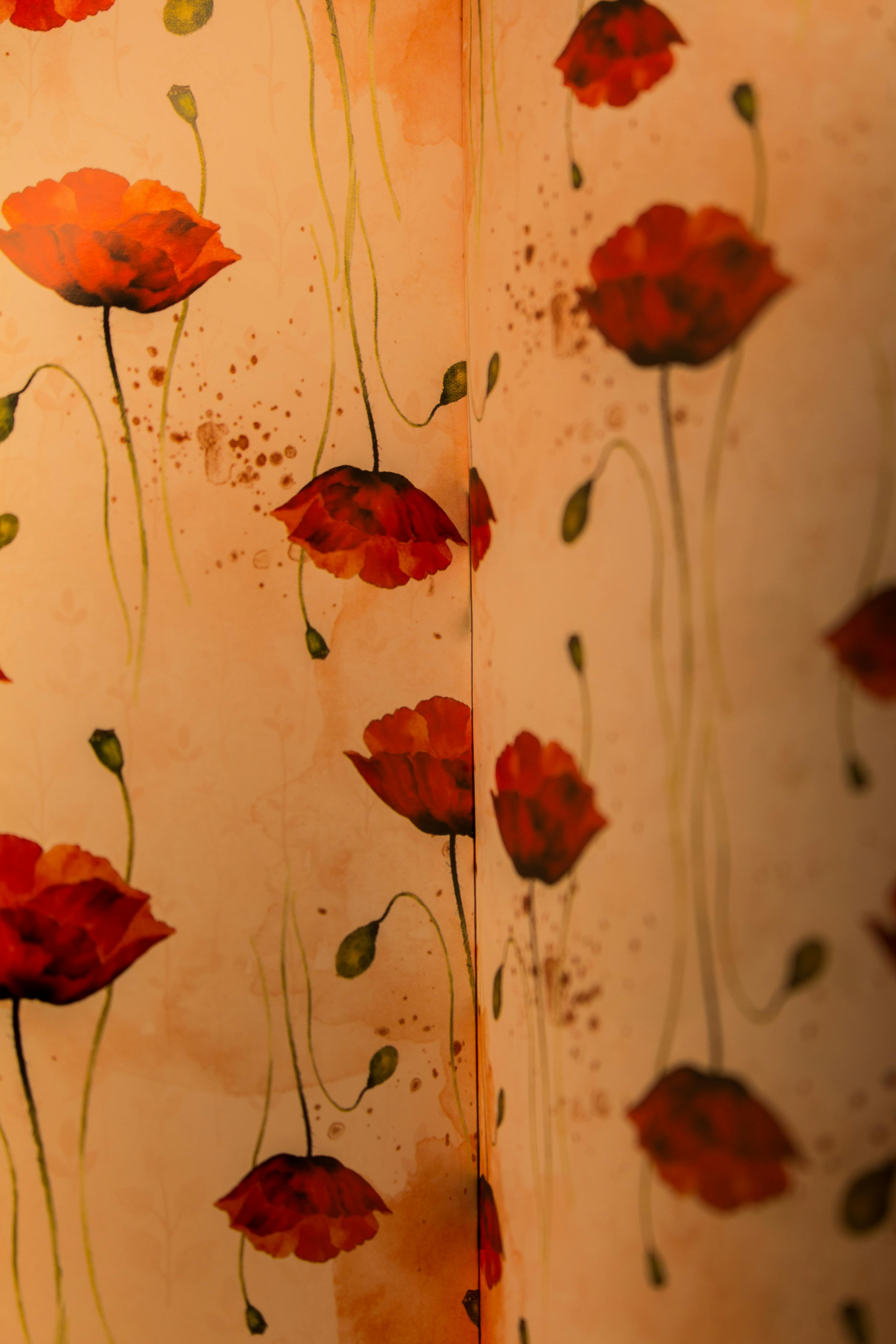 Floral Pattern Wallpapers on Walls · Free Stock Photo