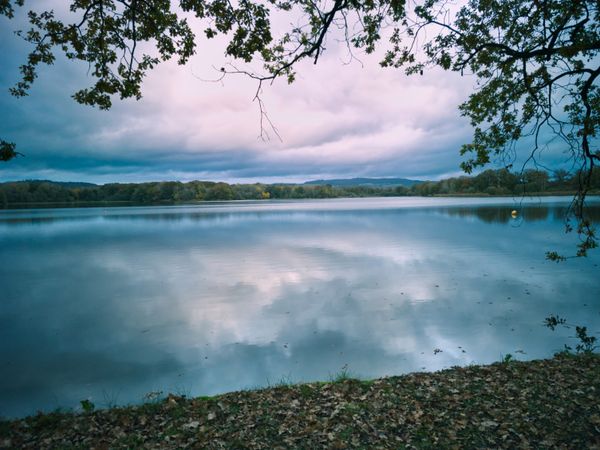 Lac reflétant un ciel nuageux avec des feuilles mortes sur la rive