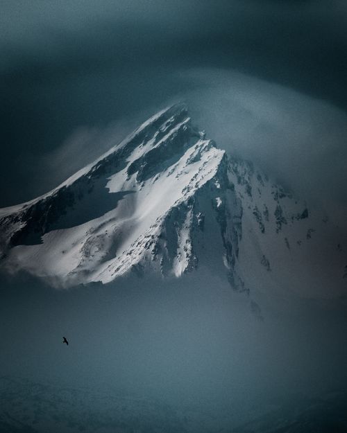 Free Dramatic aerial view of a snow-covered mountain peak surrounded by fog and clouds, with a flying bird. Stock Photo