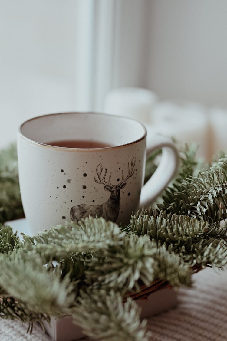 Cup Of Tea Standing On Table With Pine Branch