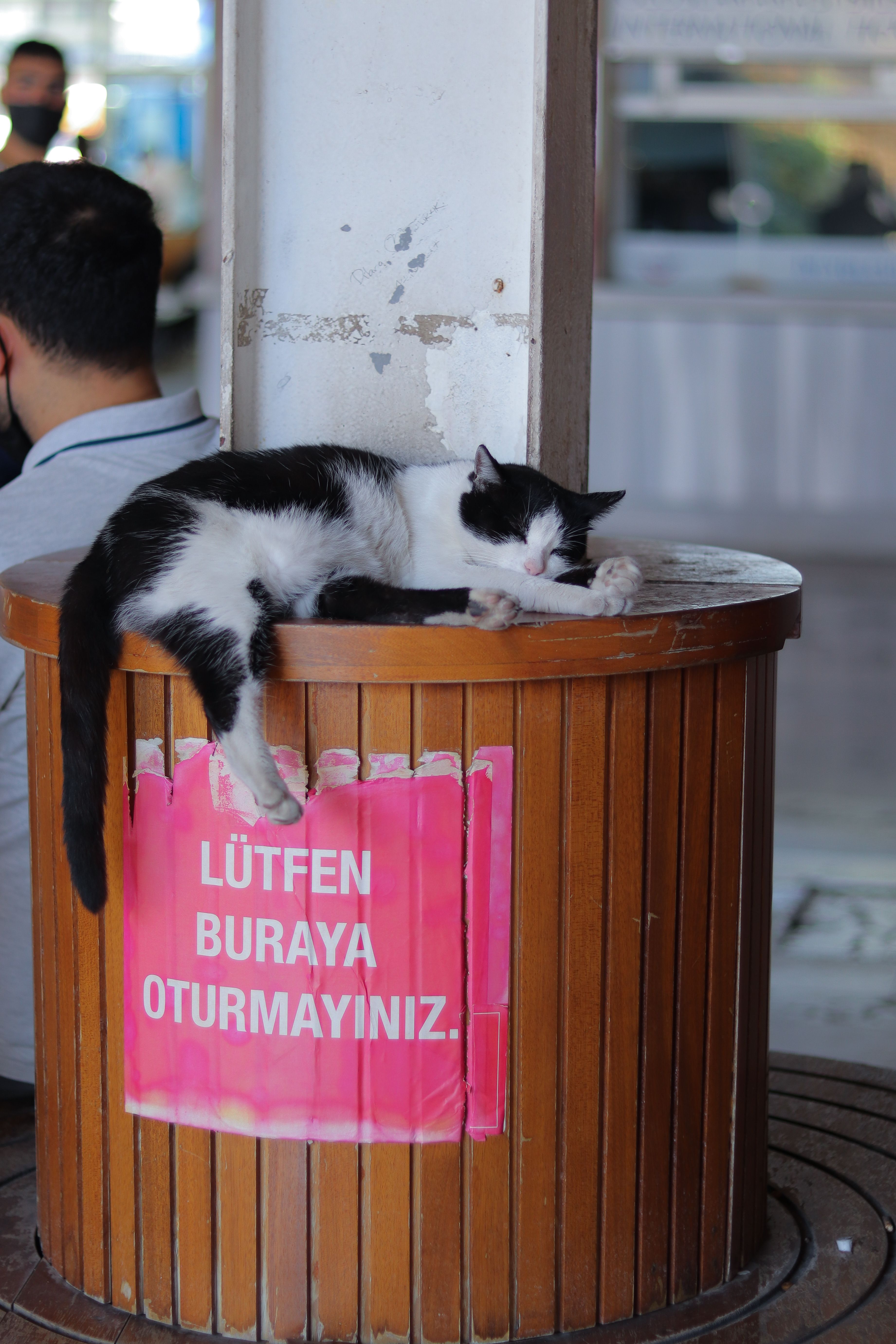 A black and white cat sleeping peacefully on a trash bin indoors.