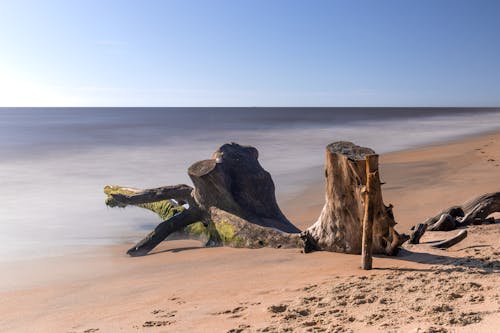 Gratis stockfoto met blauwe lucht, houtblokken, landschap