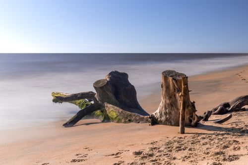 Free Tranquil beach in Brazil with driftwood and a clear blue sky creating a peaceful scene. Stock Photo