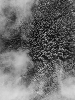 Grayscale aerial shot of dense forest with fog in Ilmenau, Germany.