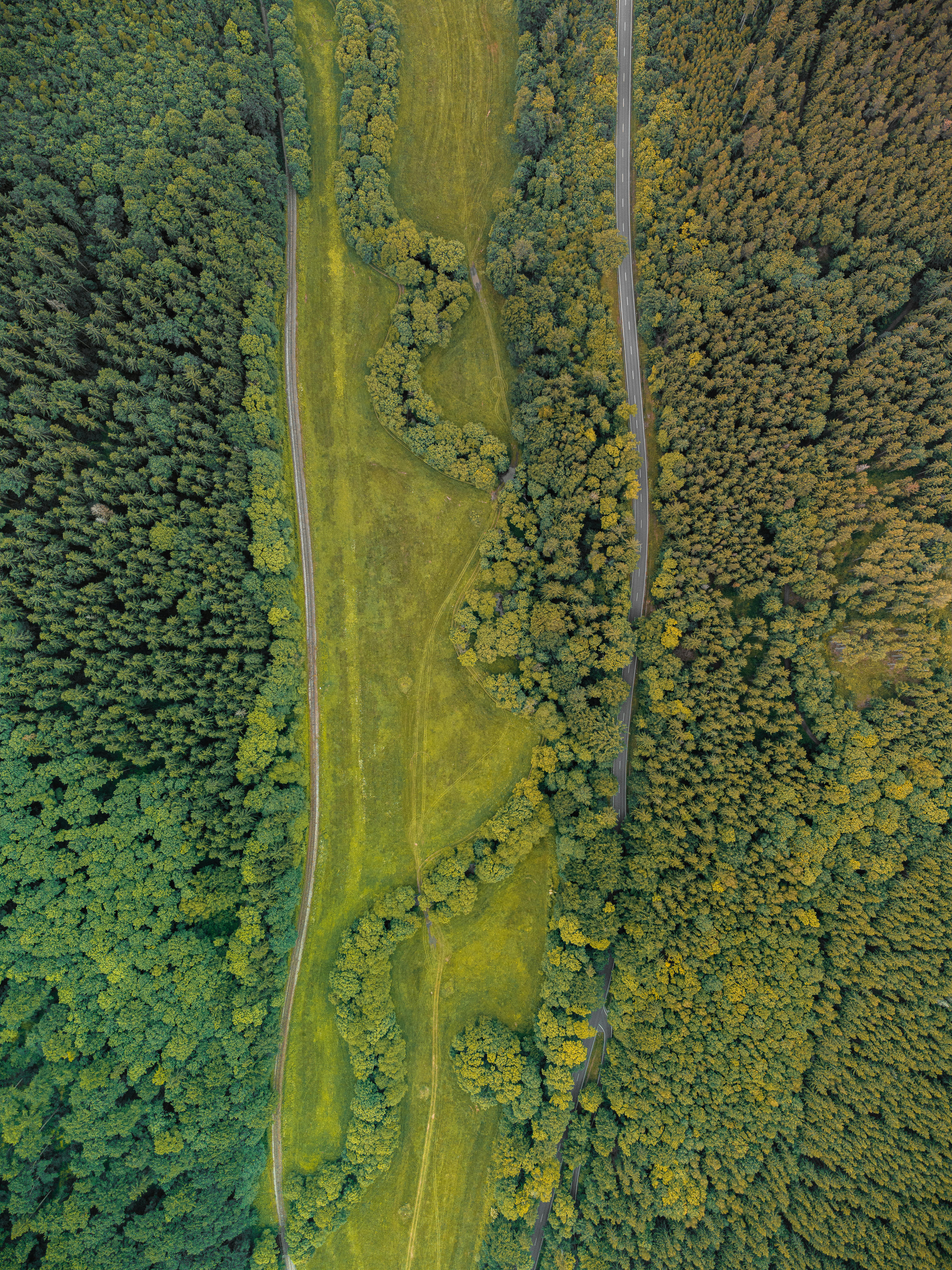 Stunning aerial view of dense forest and green landscape in Ilmenau, Germany.