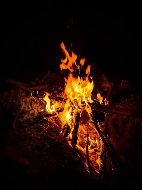 Free Burning Wood on Fire Pit Stock Photo