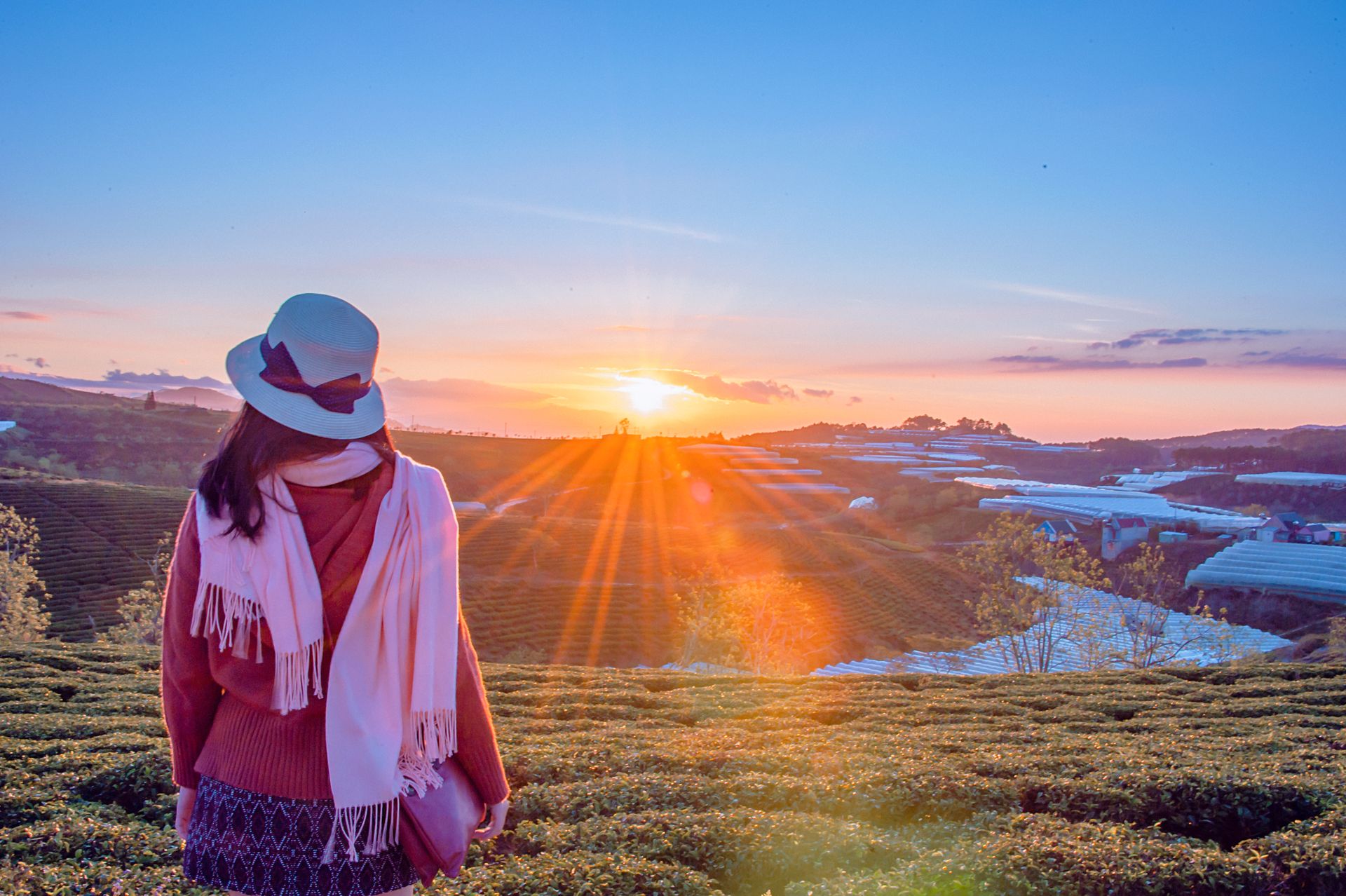 A woman gazes at a vibrant sunrise over expansive fields, capturing serene beauty.