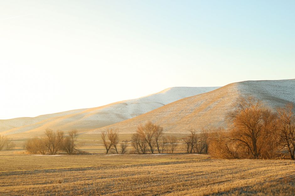 Golden sunlight over a tranquil winter landscape with bare trees and rolling hills.