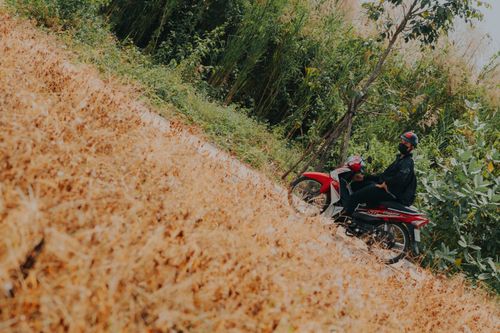 Free A man riding a red motorcycle on a rural road surrounded by greenery and dry grass. Stock Photo