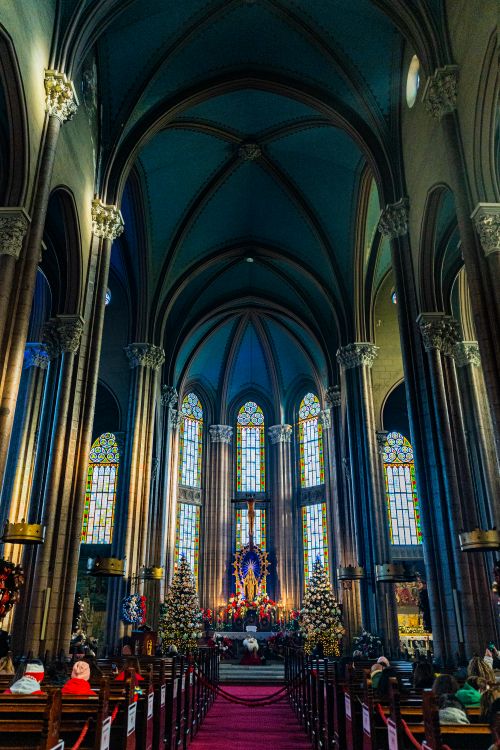 Free Captivating view of St. Anthony of Padua Church in Istanbul with Christmas decorations. Stock Photo