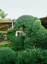 Green Plants on a Garden Outside a Building