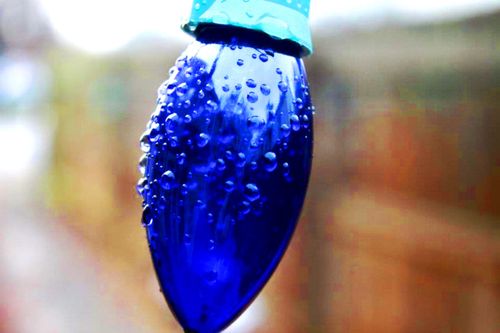 Free stock photo of blue, blue bulb, blue light Stock Photo