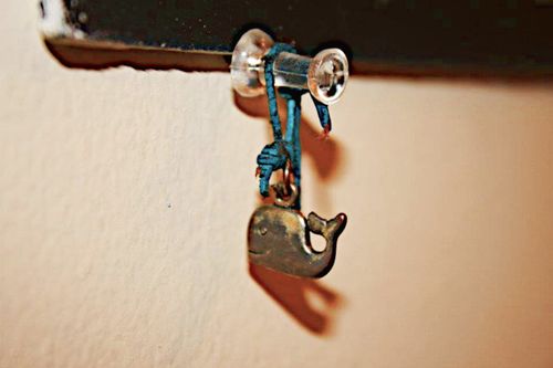Free stock photo of charm, humpback whale, trinkets Stock Photo