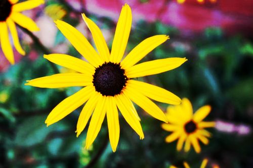 Free stock photo of beautiful nature, beauty in nature, beauty of nature Stock Photo