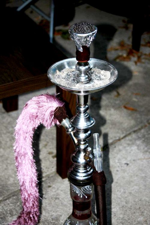 Free stock photo of adventure, hookah, outside adventure Stock Photo