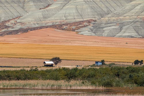 Gratis stockfoto met bruin gras, gebied met water, heuvels