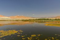 Calm Body of Water Near the Brown Mountains