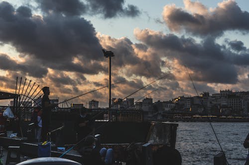 Gratis lagerfoto af byliv, fiskeri, fiskestænger