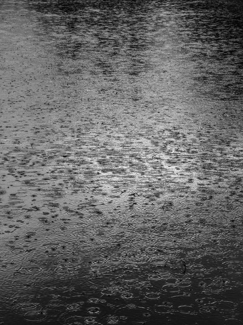 Free Black and white image of raindrops creating ripples on a tranquil lake surface, evoking a serene atmosphere. Stock Photo