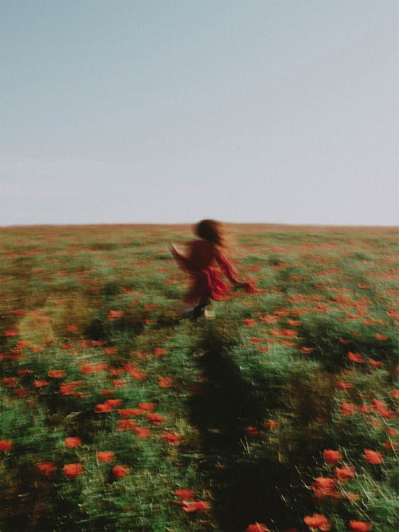 Free Blurred Photo of Woman in Red Running Through Poppy Field Stock Photo